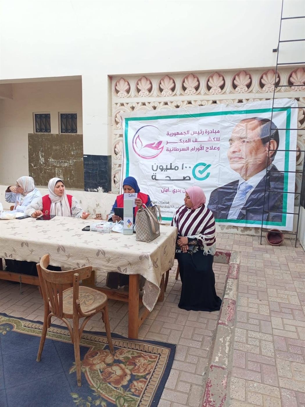 مبادرة قطار الخير 2 بالبحيرة، فيتو