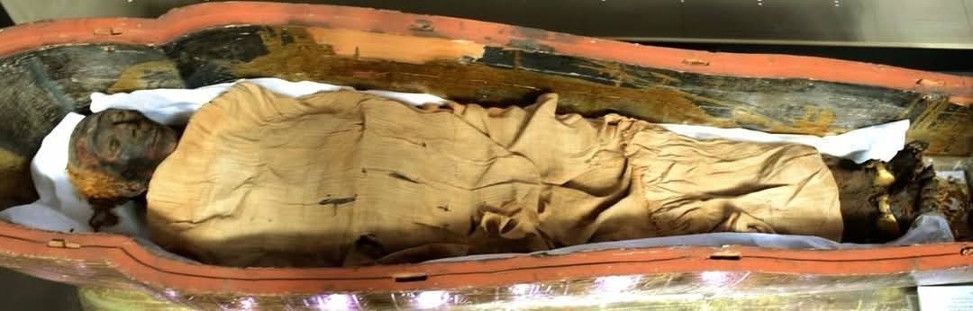 المتحف المصري بالتحرير يعرض مومياء 