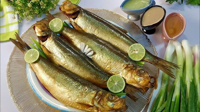 سمك الرنجة