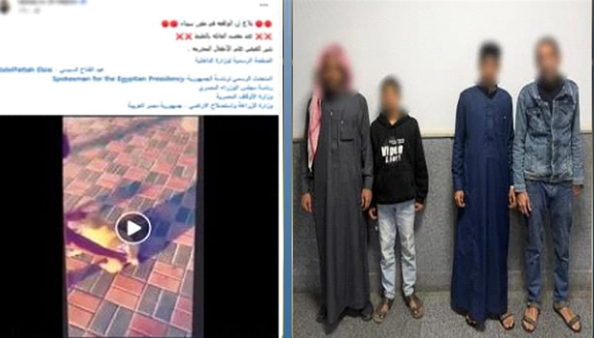 القبض على طفلين لقتل كلب حرقًا في جنوب سيناء وتصوير الواقعة بدعوى