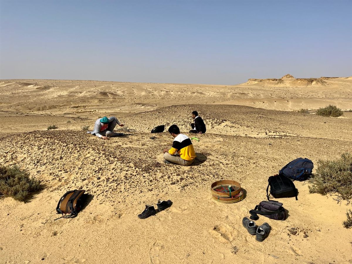 الفريق البحثي أثناء البحث عن الحفريات