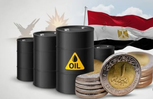 الاقتصاد المصرى، &nbsp;فيتو&nbsp;