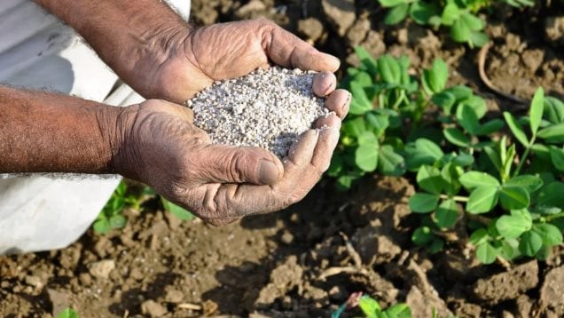 سعر السماد اليوم، فيتو