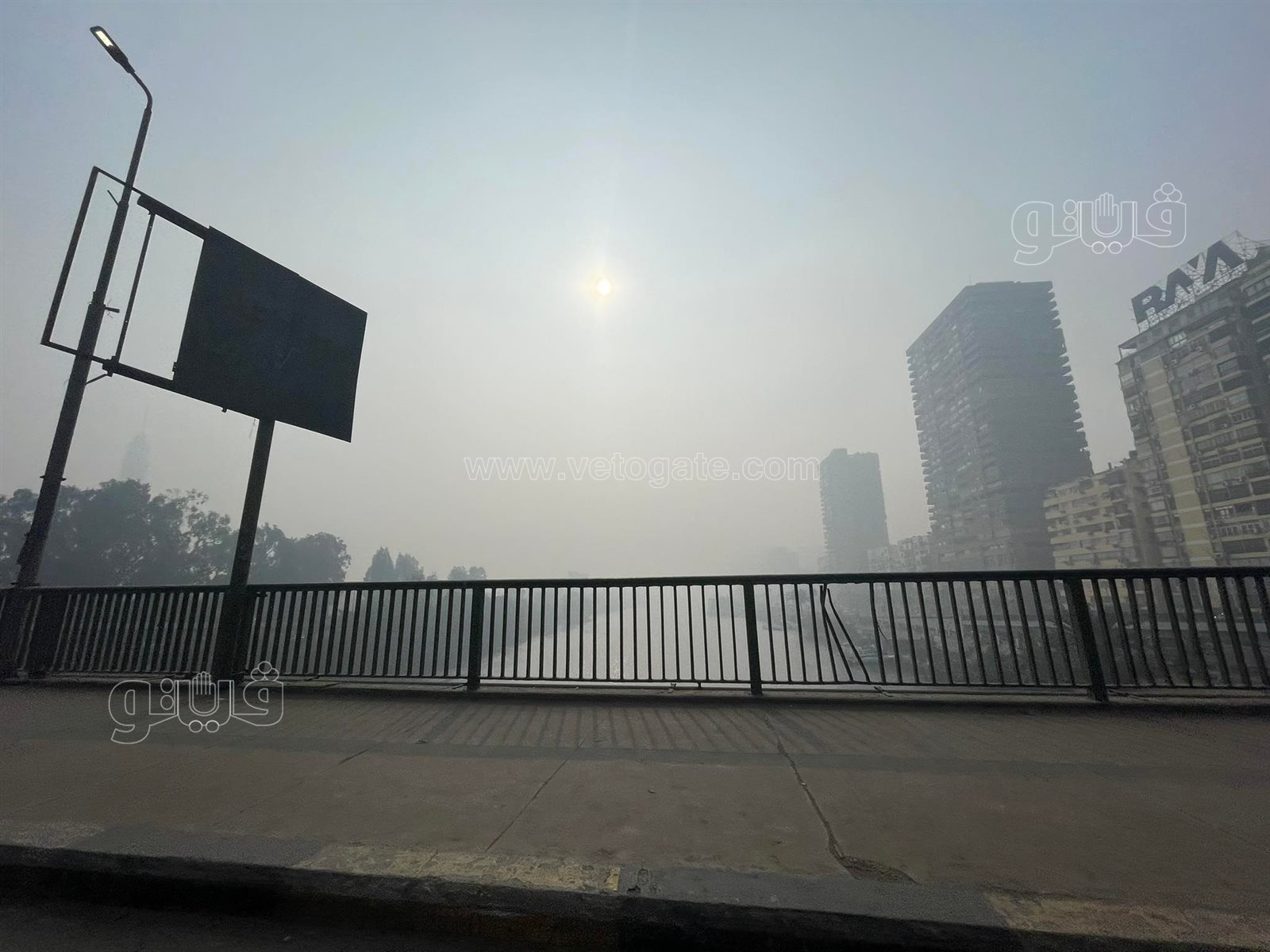 شبورة وطقس بارد في القاهرة والجيزة (4)