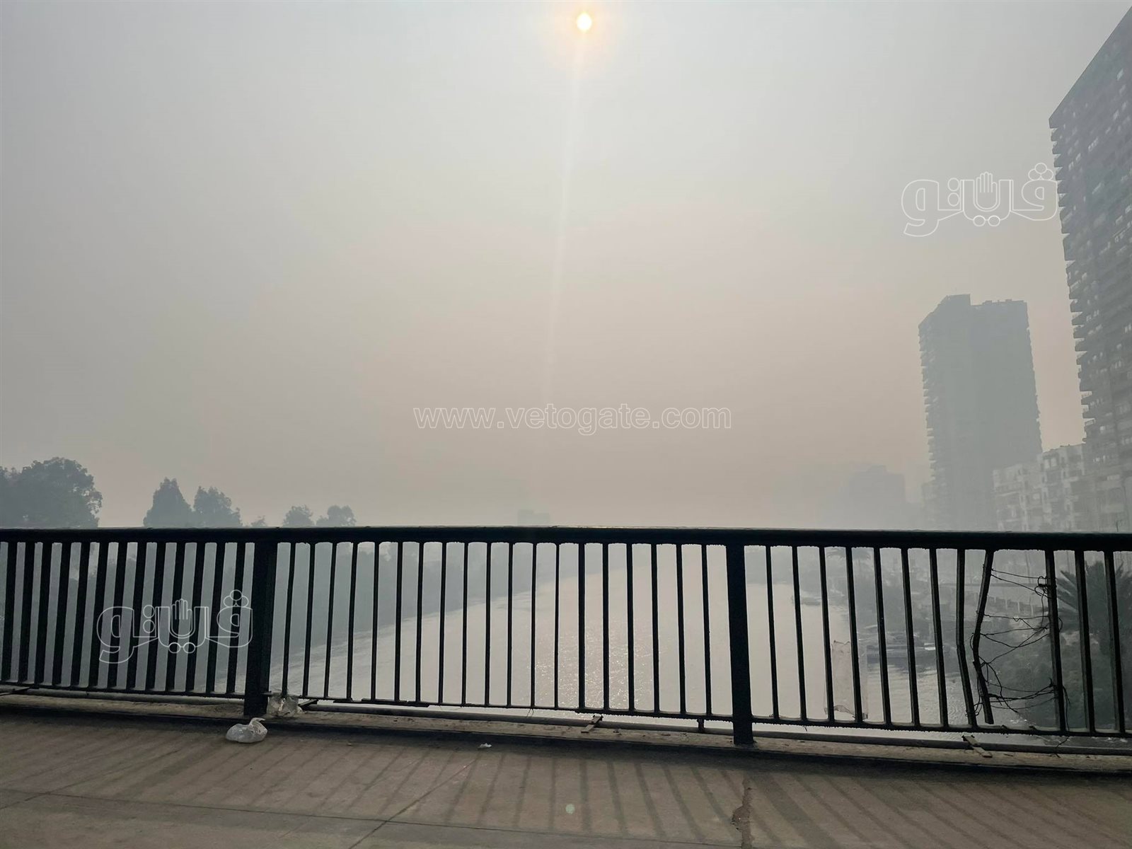 شبورة وطقس بارد في القاهرة والجيزة (6)