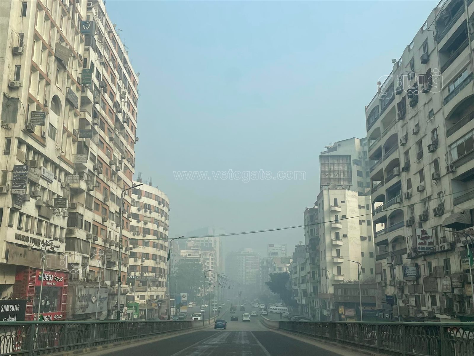 شبورة وطقس بارد في القاهرة والجيزة (7)