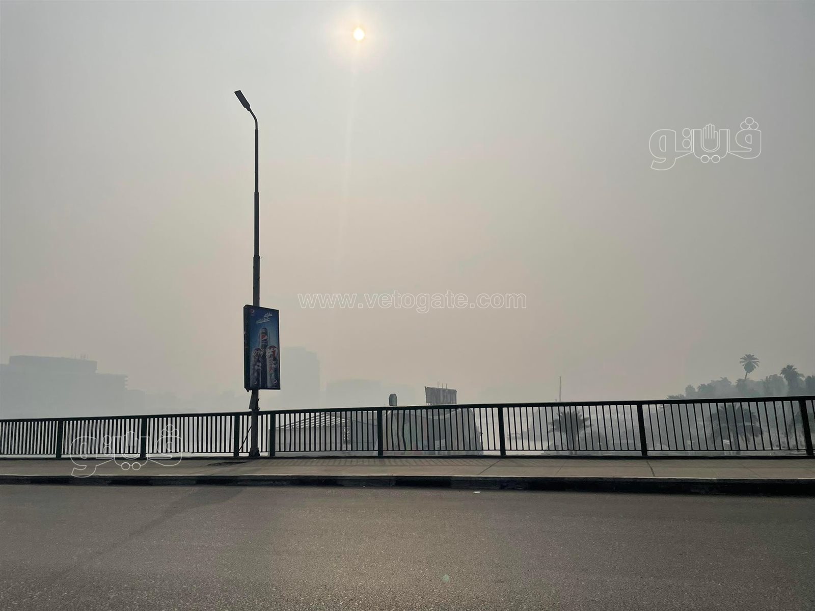 شبورة وطقس بارد في القاهرة والجيزة (9)