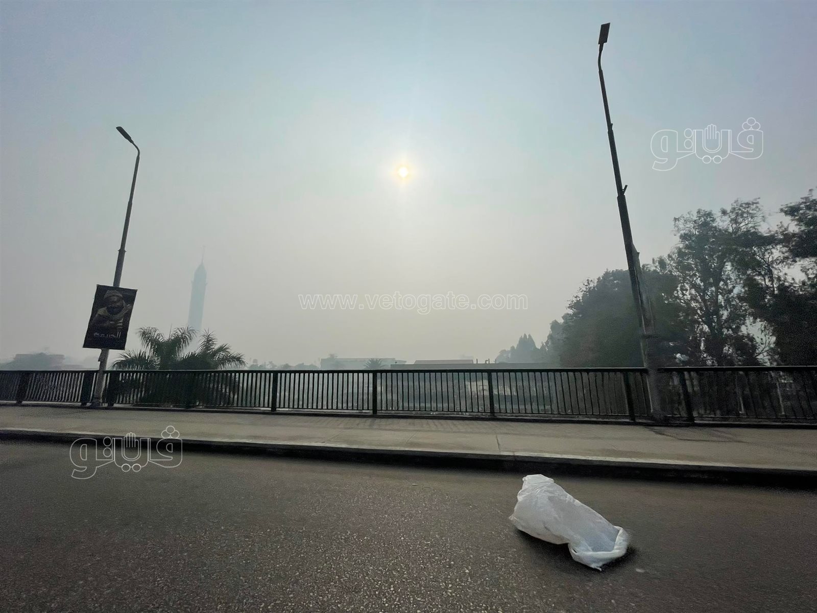 شبورة وطقس بارد في القاهرة والجيزة (12)