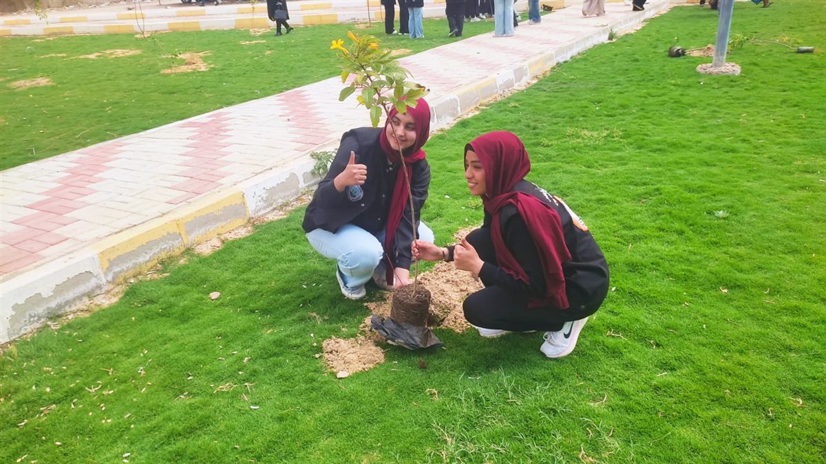 جانب من أعمال التشجير، فيتو