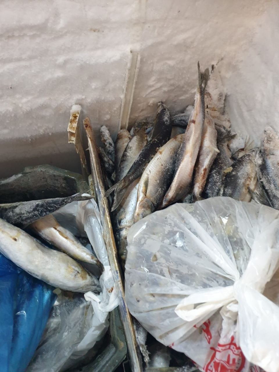 <span style=