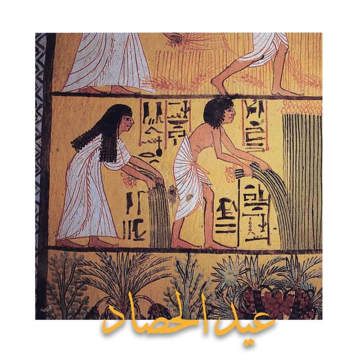 يوم بعث الحياةة