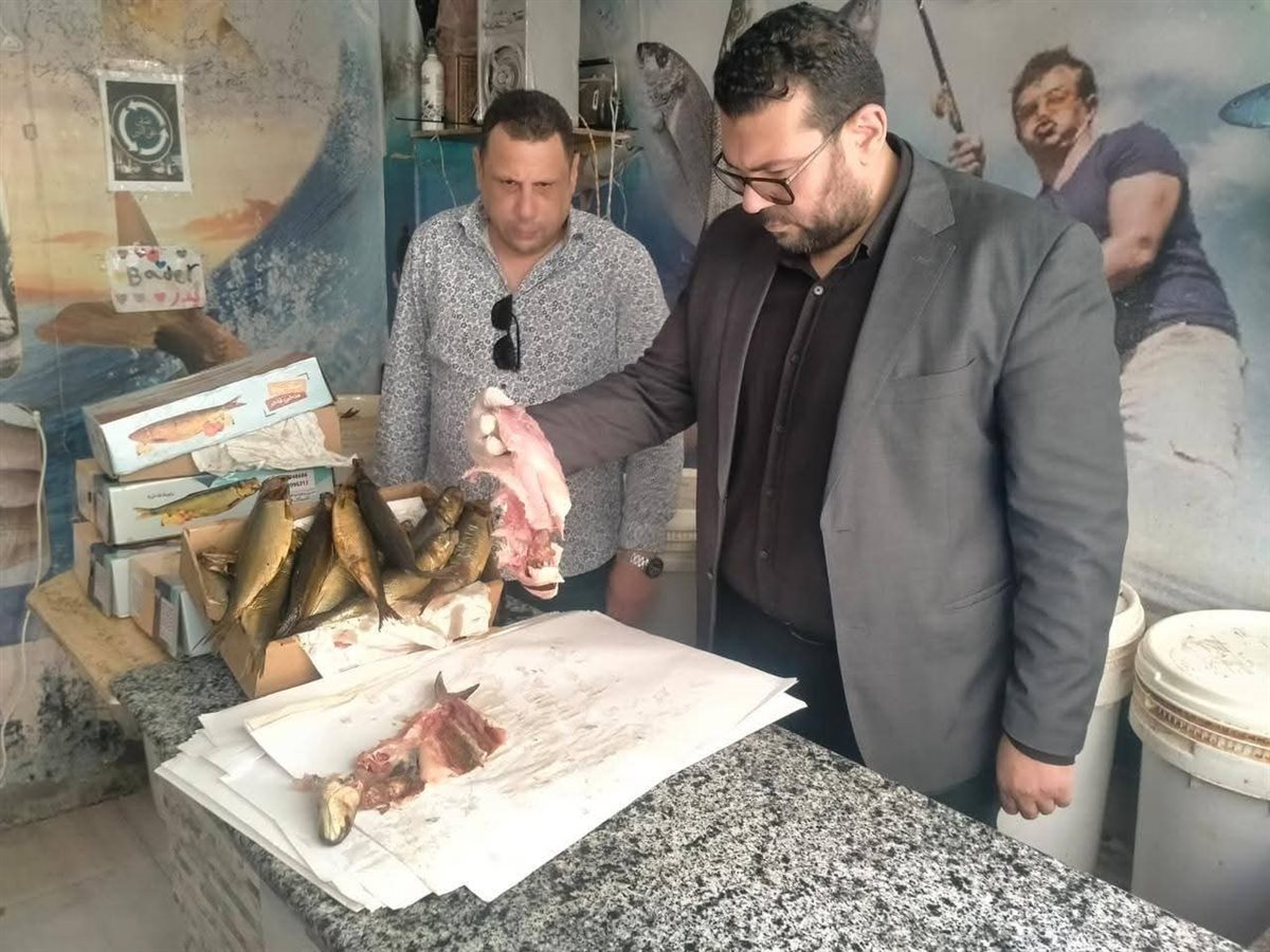 ضبط أكثر من 16 طن أسماك مملحة ومدخنة خلال حملات رقابية خلال شم النسيم،فيتو