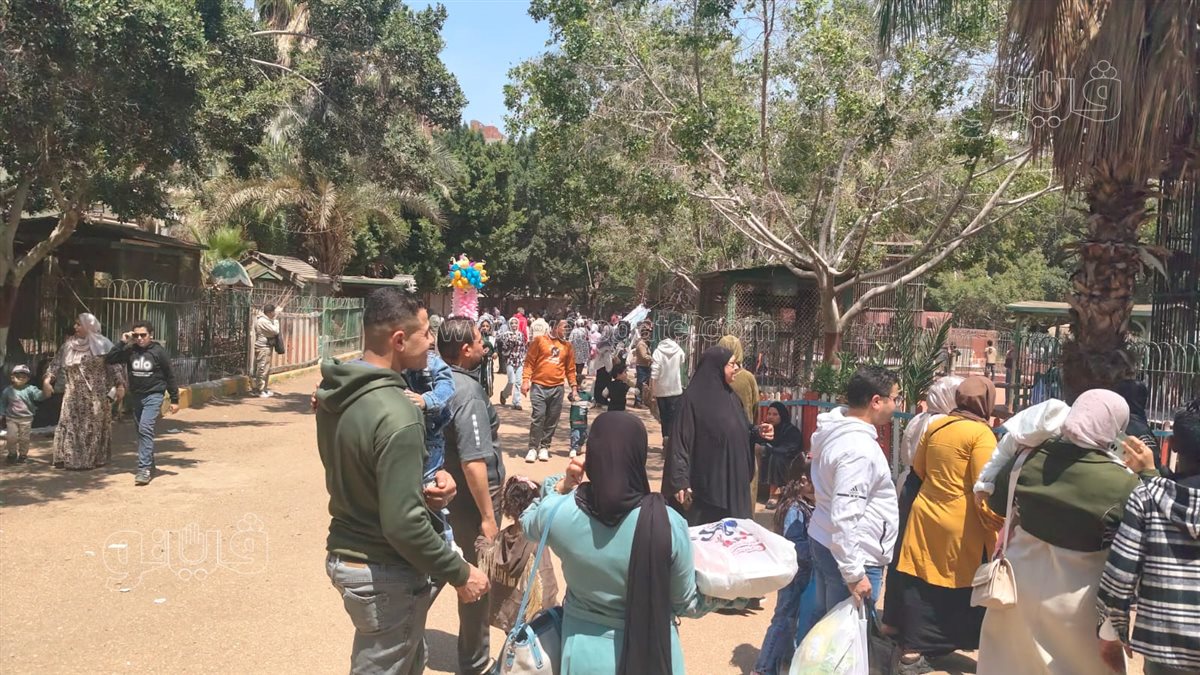 ضحك ولعب وجد وحب.. زحام غير مسبوق وحدائق ممتلئة في احتفالات شم النسيم بالشرقية،فيتو