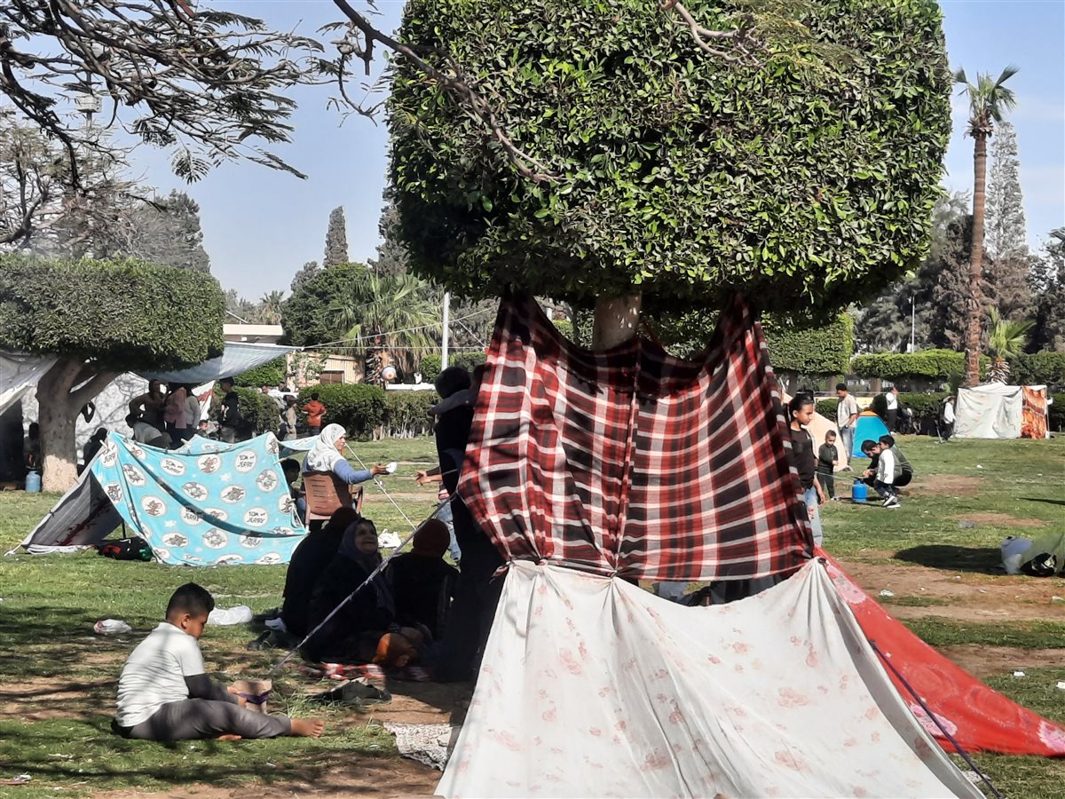 حدائق نمرة 6 بالإسماعيلية، فيتو