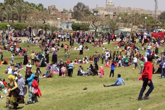 حكم الاحتفال بشم النسيم