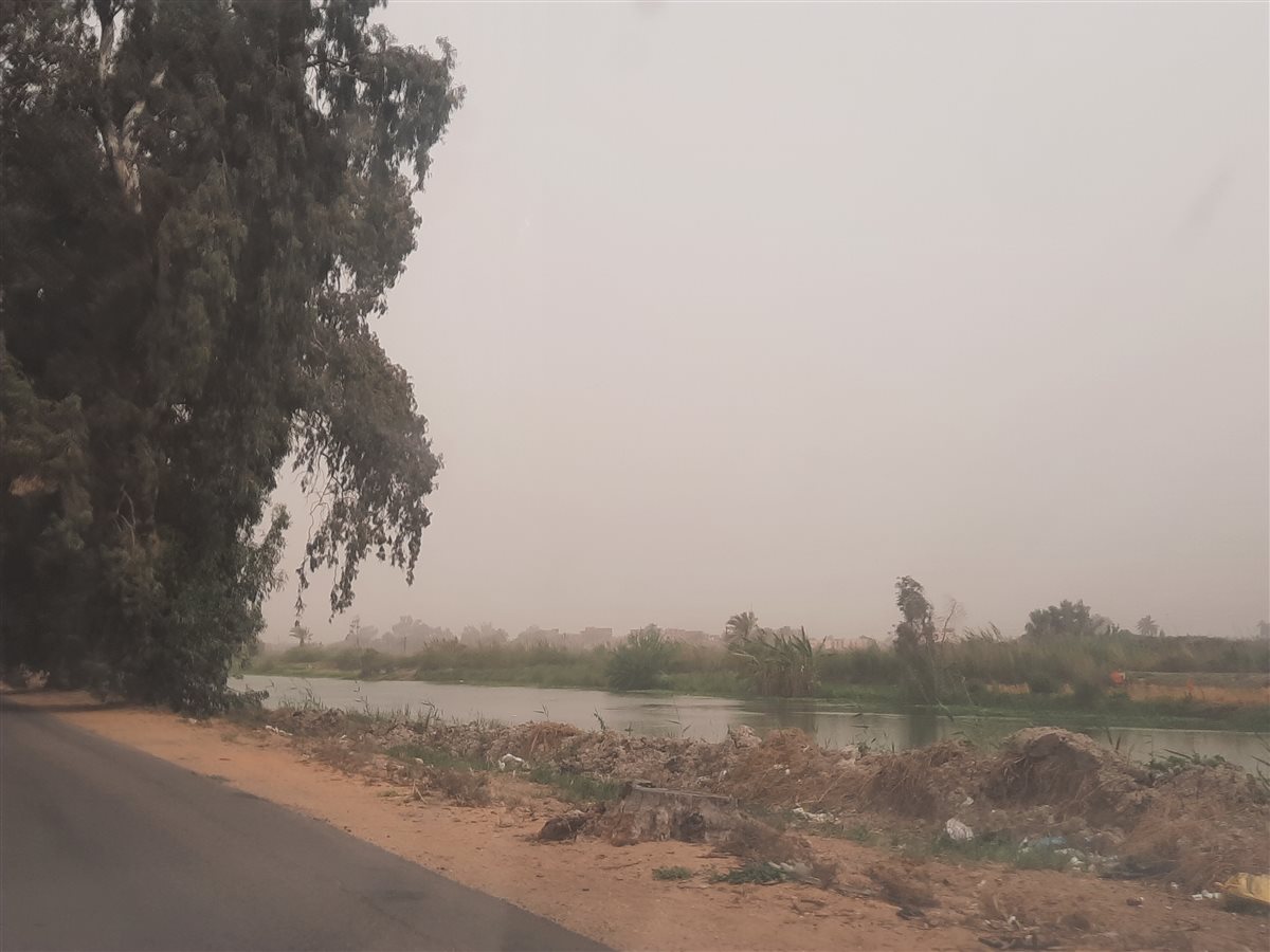 الإسماعيلية اليوم، فيتو