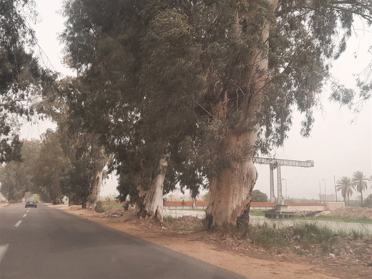الإسماعيلية اليوم، فيتو