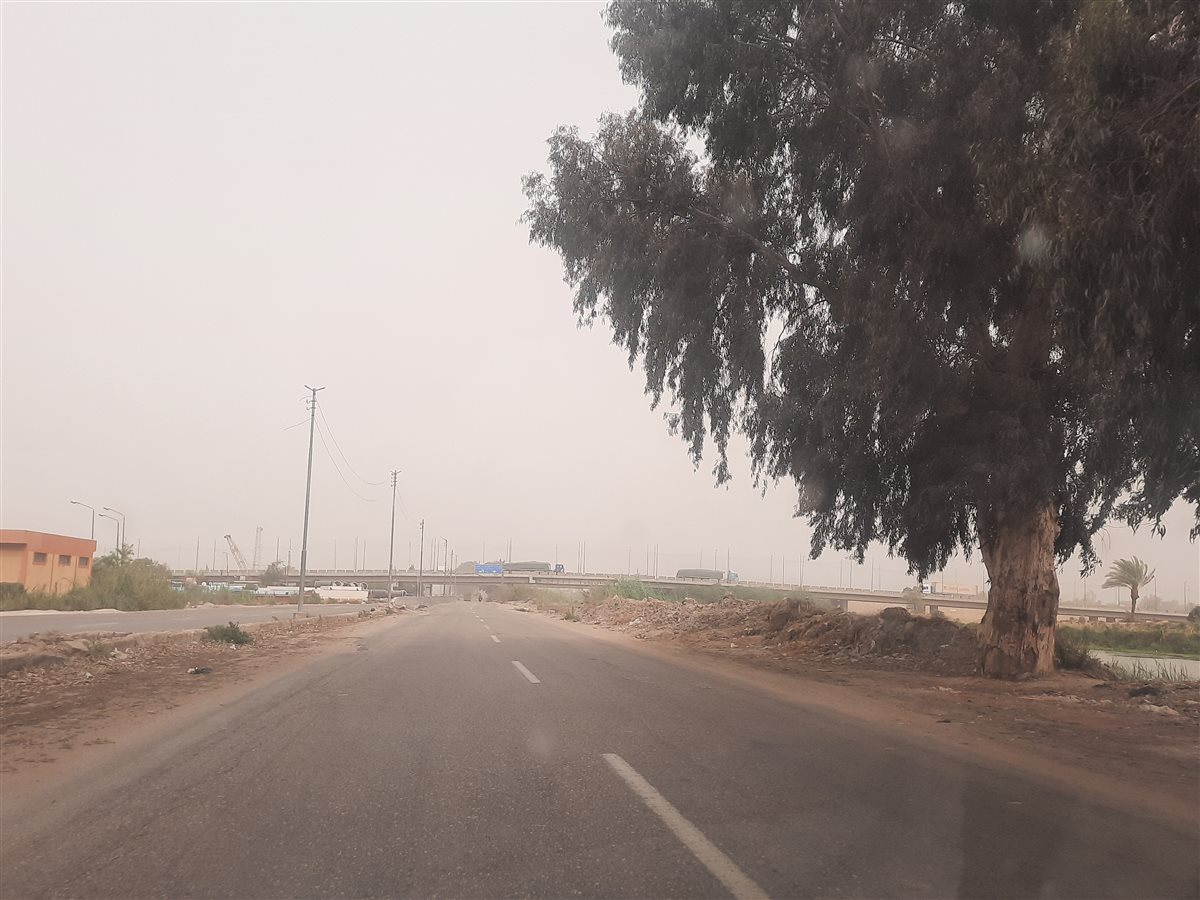 الإسماعيلية اليوم، فيتو