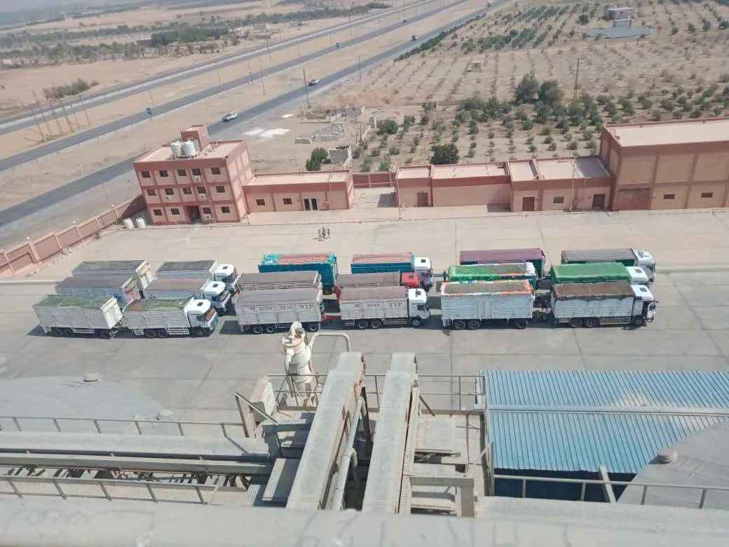 توريد القمح في المنيا يسجل أرقامًا قوية، فيتو