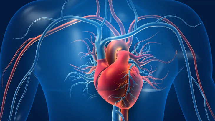 أعراض تدل على وجود مشكلة فى عضلة القلب