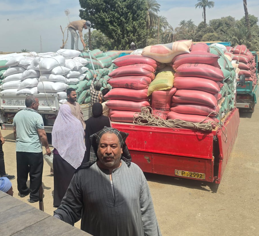 محافظ سوهاج، عن استلام 5801 طن و614 كيلوجرامًا من الأقماح المحلية، فيتو