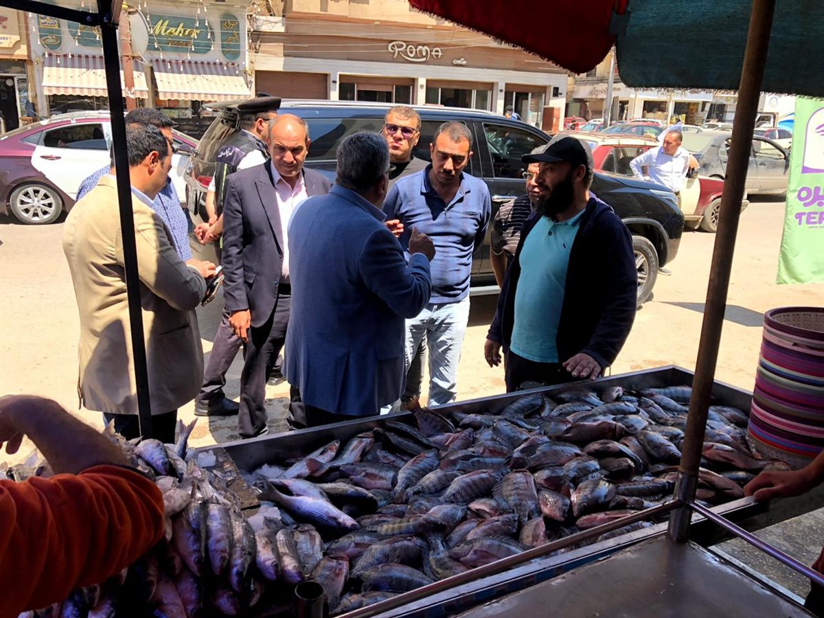 جولة موسعة لمحافظ الدقهلية بالمنصورة