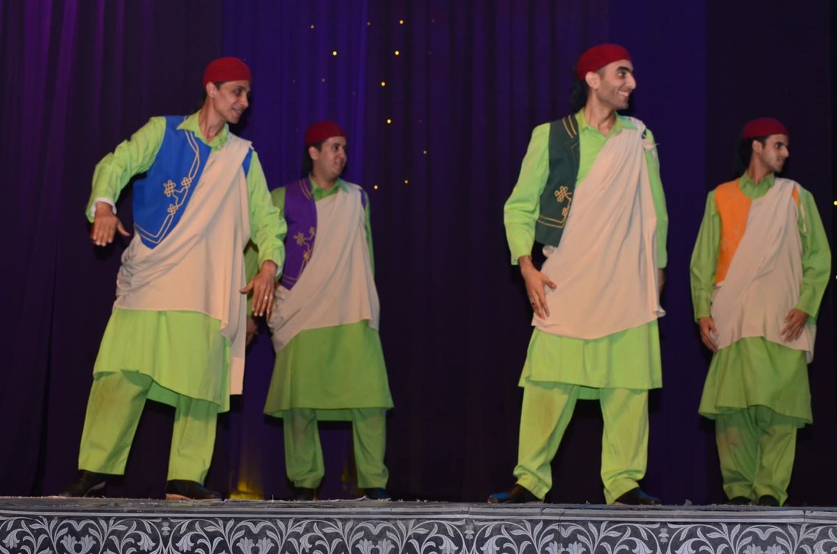 احتفالية عيد تحرير سيناء، فيتو