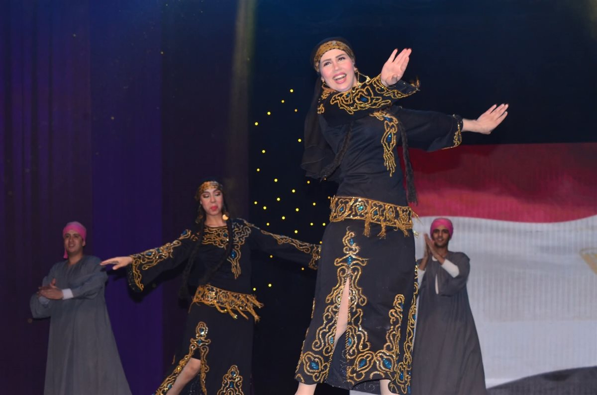 احتفالية عيد تحرير سيناء، فيتو