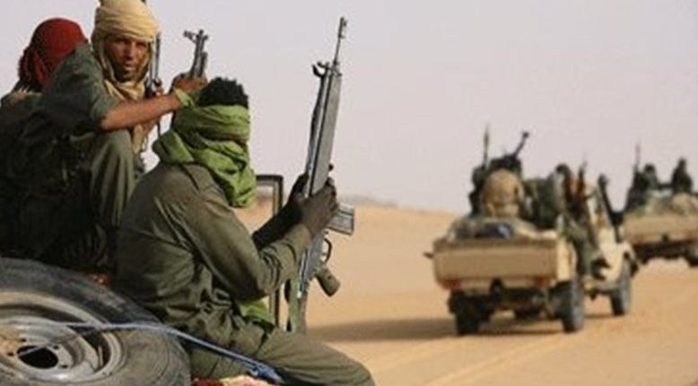 طوارق مالي، فيتو