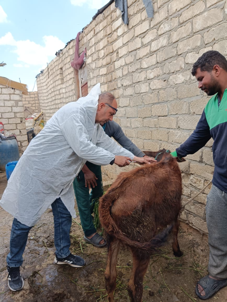 جانب من فاعليات الحملة، فيتو