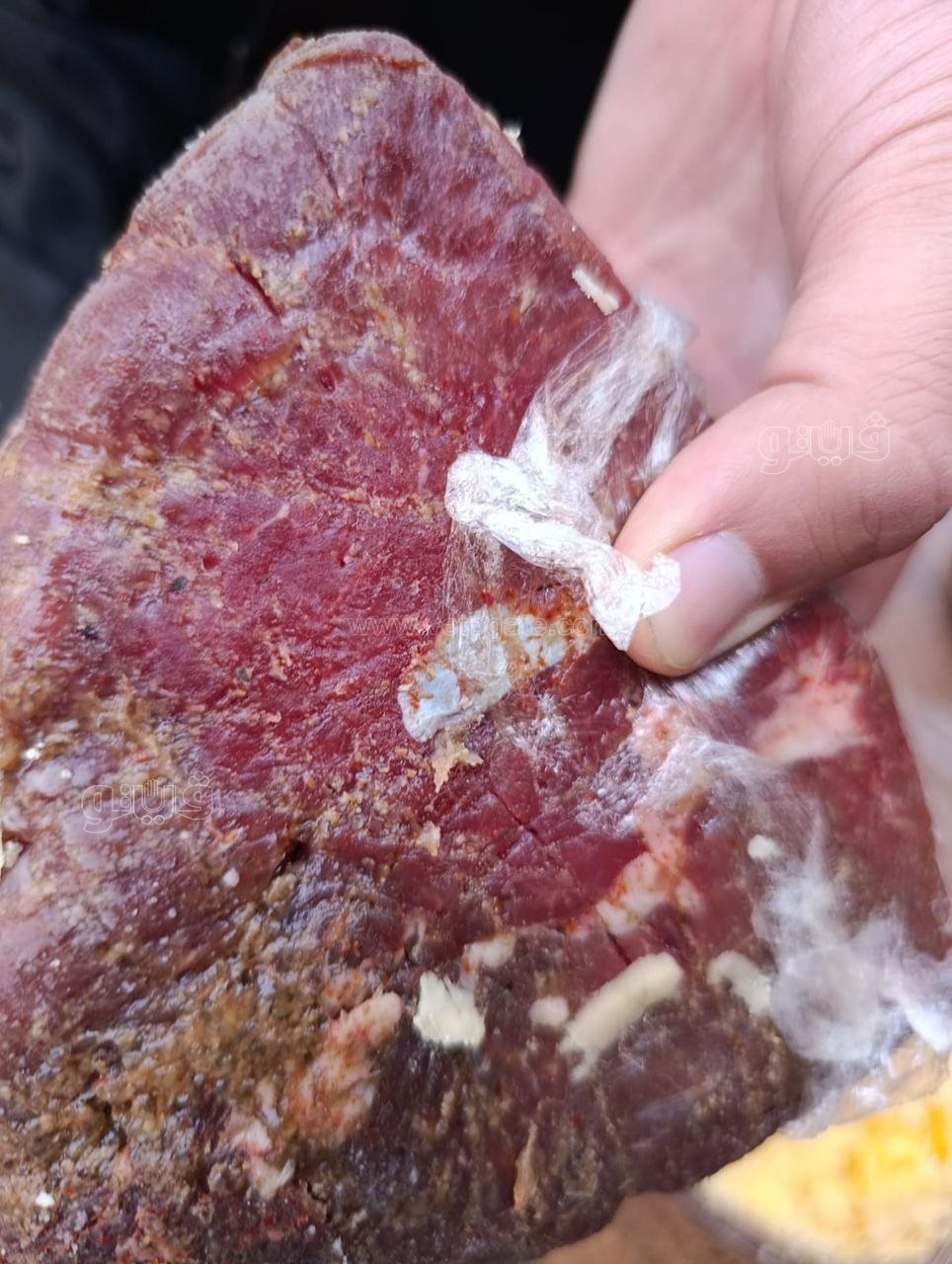 اعدام لحظه فاسدة خلال حمله تموينية ببورسعيد، ڤيتو