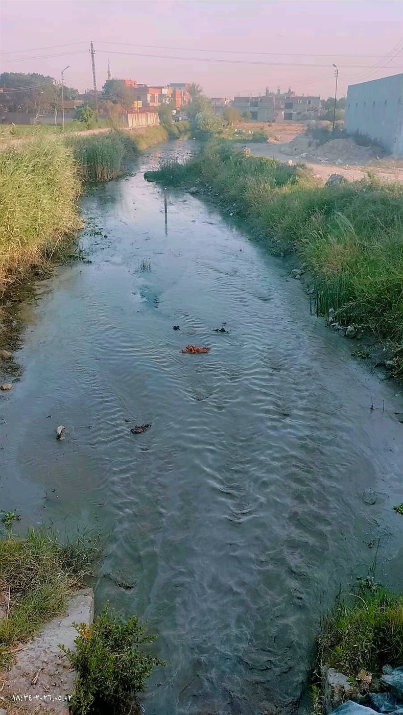 جانب من أعمال الاصلاح، فيتو