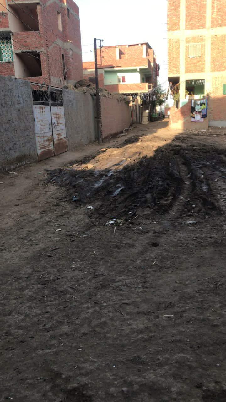 قرية الرجبية بالغربية&nbsp;