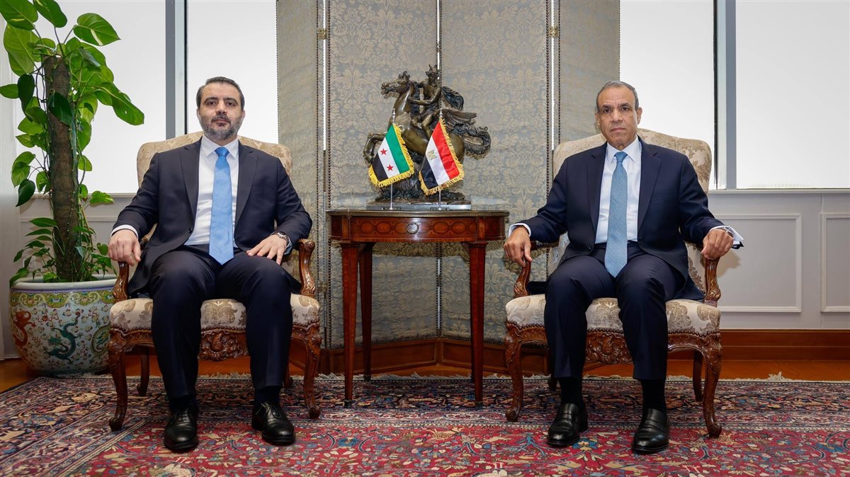 بدر عبد العاطي خلال استقبال نظيره السوري، فيتو