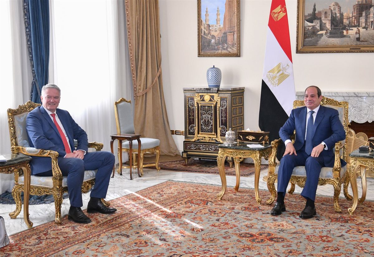 لقاء السيسي وأمين عام منظمة OECD