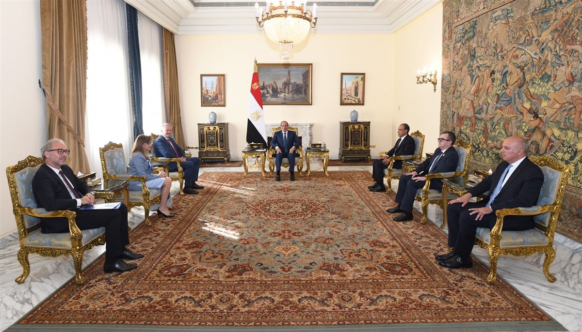 لقاء السيسي وأمين عام منظمة OECD