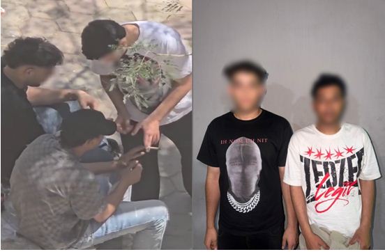 القبض على طالبين ظهرا فى فيديو أثناء تعاطى المخدرات بالنزهة