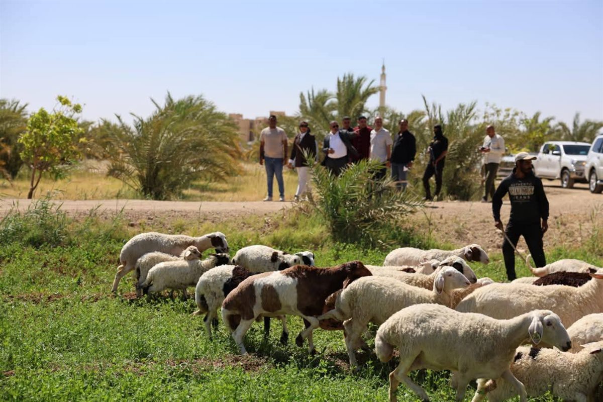 محافظ الوادي الجديد تتفقد مصنع إنتاج الأسمدة الفوسفاتية