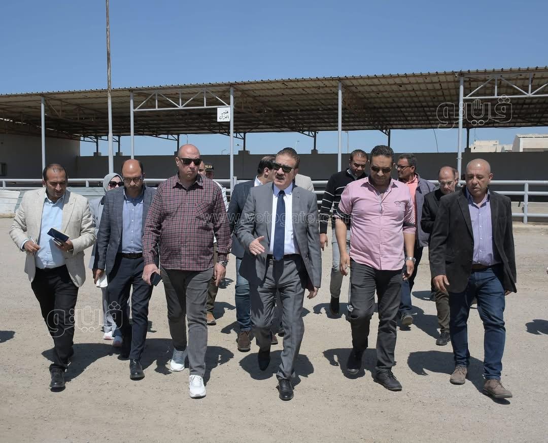 محافظ بورسعيد يتفقد مجزرة القابوطى ببورسعيد، ڤيتو