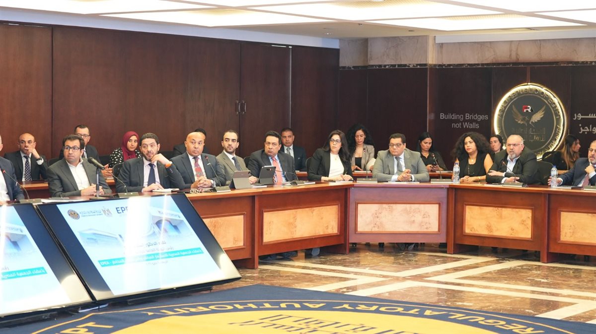 لقاء رئيس هيئة الرقابة المالية مع أعضاء الجمعية المصرية للاستثمار المباشر&nbsp;