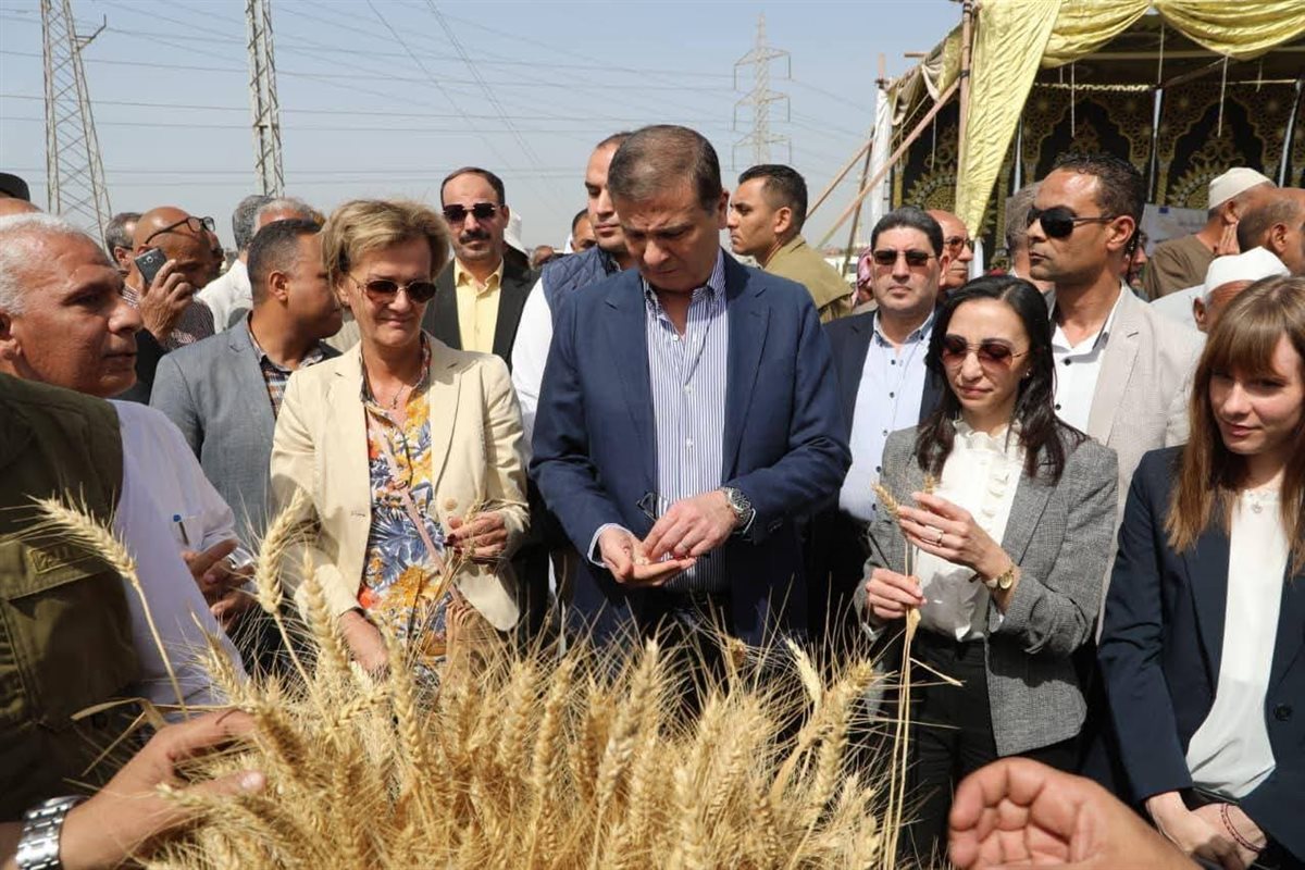 وزير الزراعة في احتفالية ميكنة حصاد القمح بالبحيرة