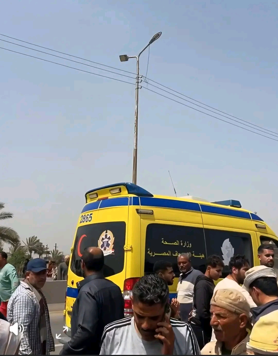 حوادث الطرق،فيتو