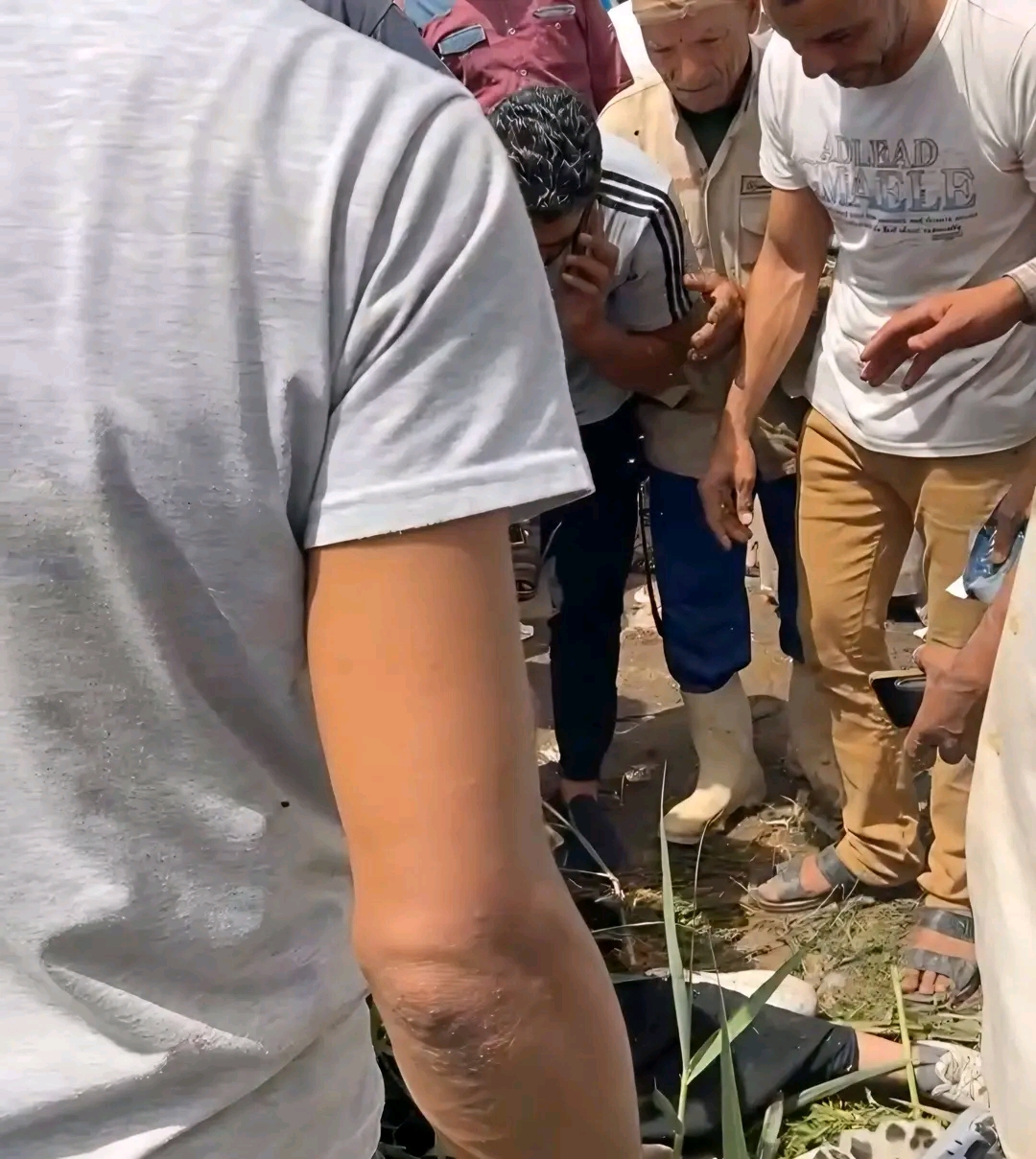 حوادث الطرق،فيتو