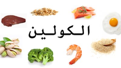 أهمية عنصر الكولين