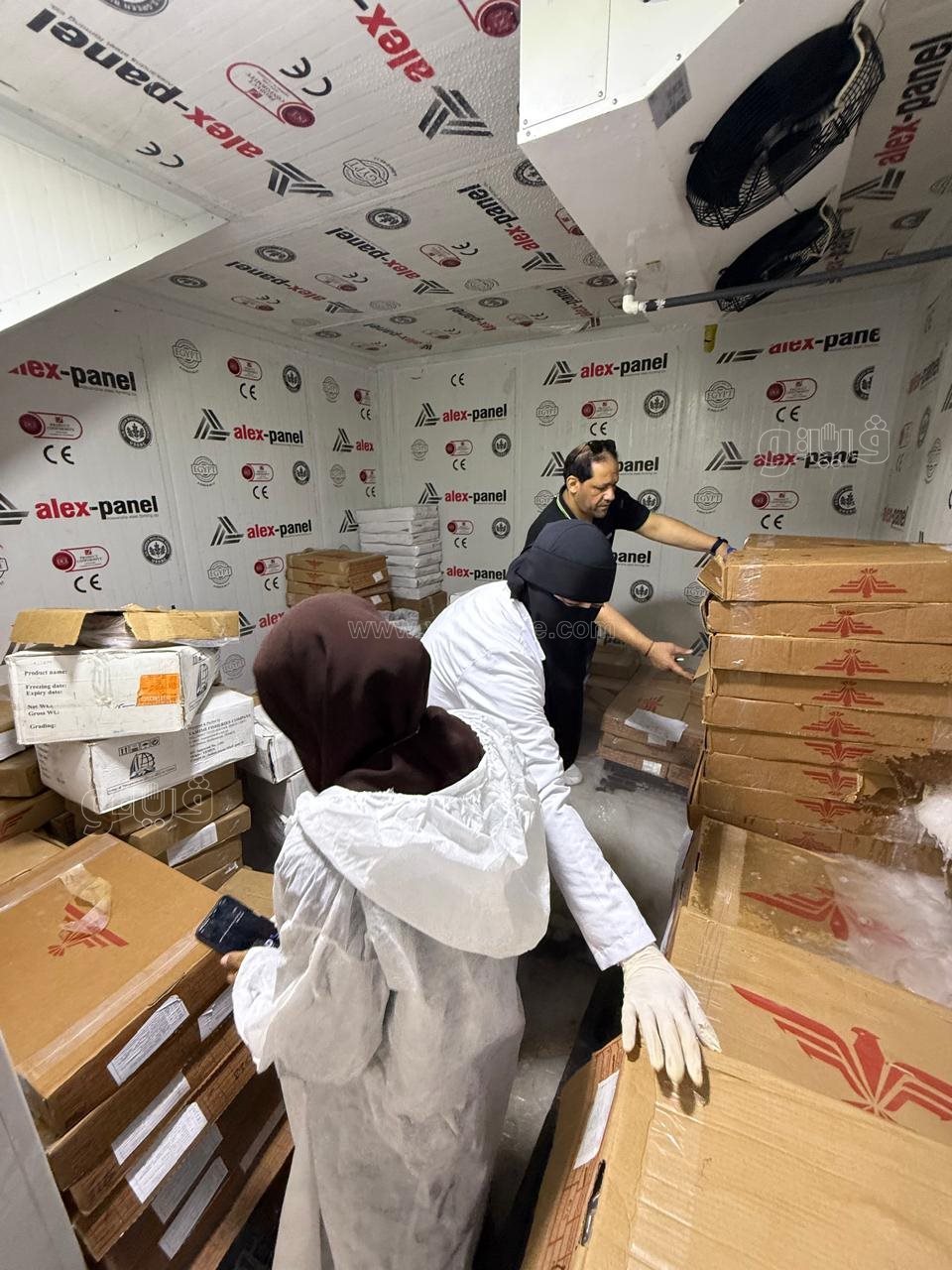 حملة تموينية تضبط لحوم فاسدة ولحوم خنزير مجمده، ڤيتو