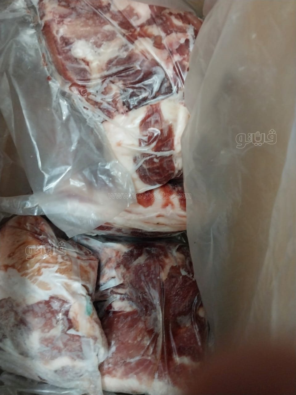 حملة تموينية تضبط لحوم فاسدة ولحوم خنزير مجمده، ڤيتو