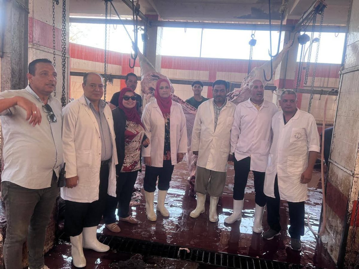 رفع درجة الاستعداد القصوى بمجازر الغربية استعدادًا لاستقبال عيد الأضحى