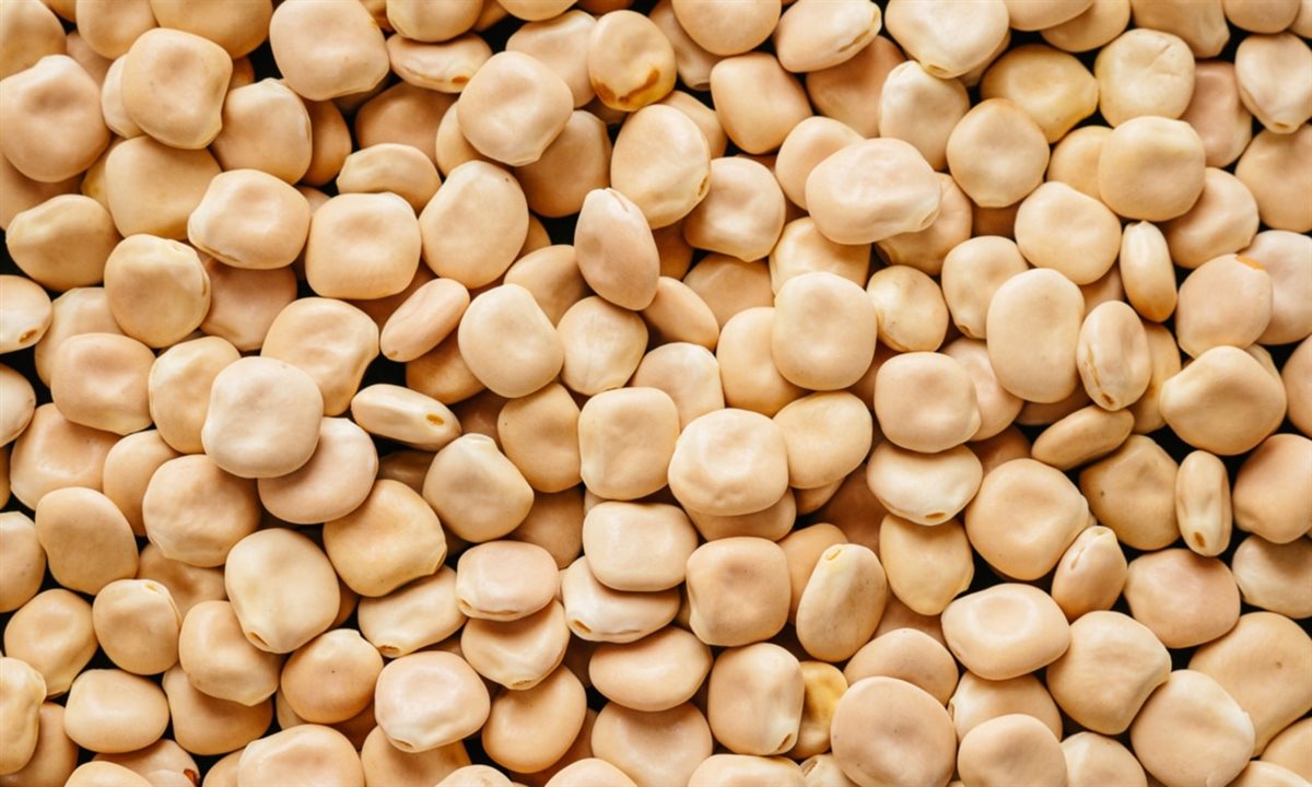 الترمس الحلو، فيتو