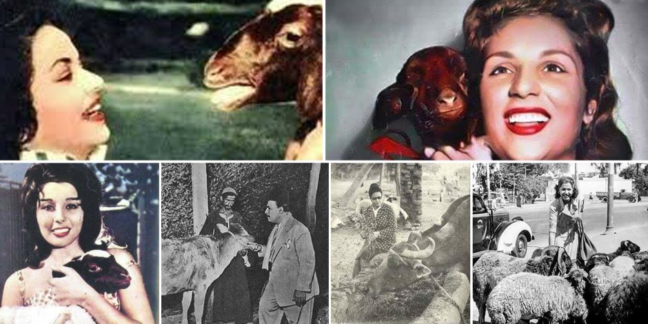 نجوم زمان مع خروف العيد