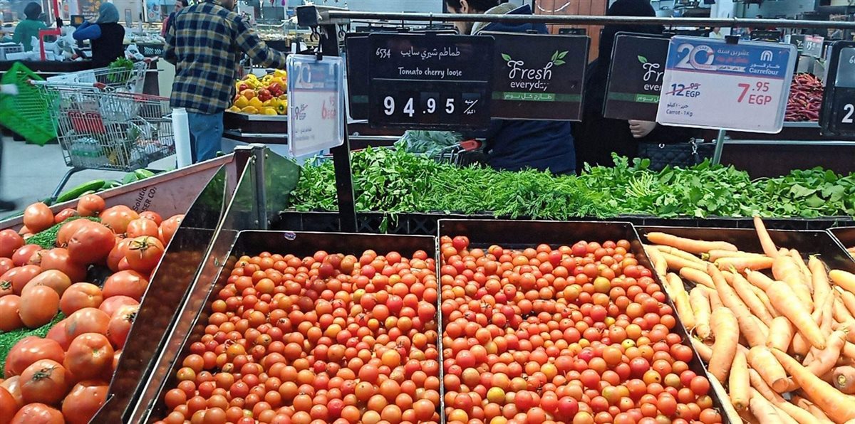 أسعار الطماطم اليوم، فيتو